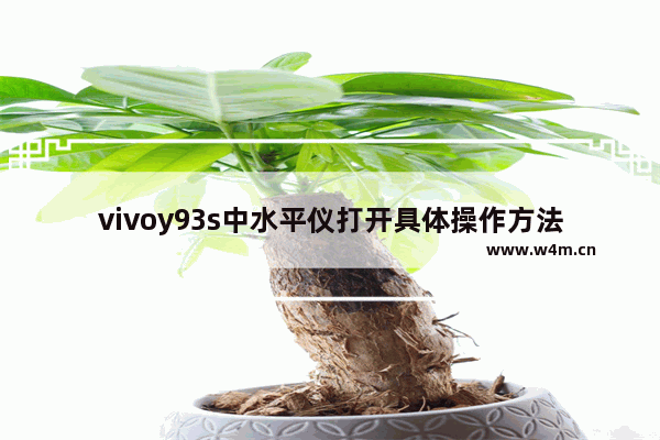 vivoy93s中水平仪打开具体操作方法介绍