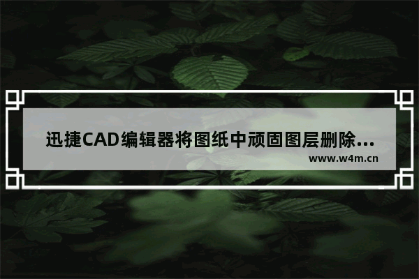 迅捷CAD编辑器将图纸中顽固图层删除的具体操作方法