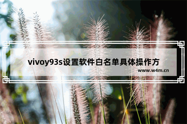 vivoy93s设置软件白名单具体操作方法