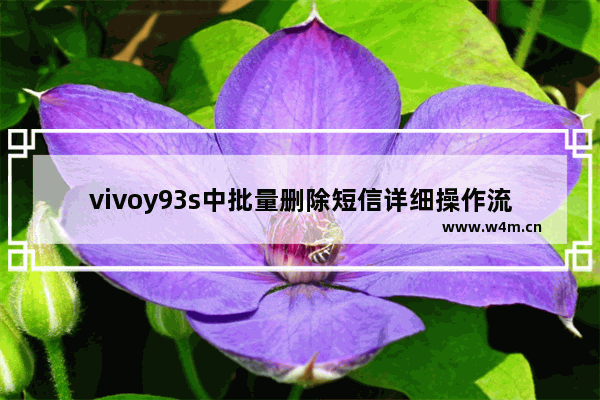 vivoy93s中批量删除短信详细操作流程