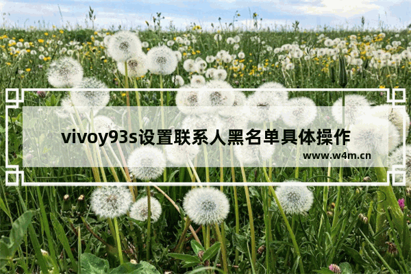 vivoy93s设置联系人黑名单具体操作方法