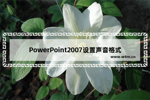 PowerPoint2007设置声音格式播放格式具体操作方法