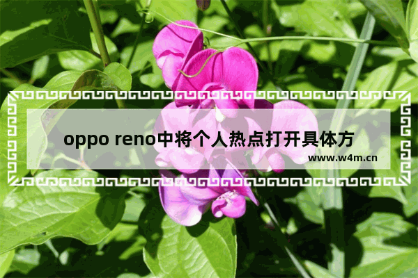 oppo reno中将个人热点打开具体方法介绍