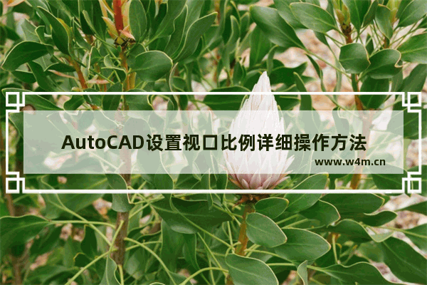 AutoCAD设置视口比例详细操作方法