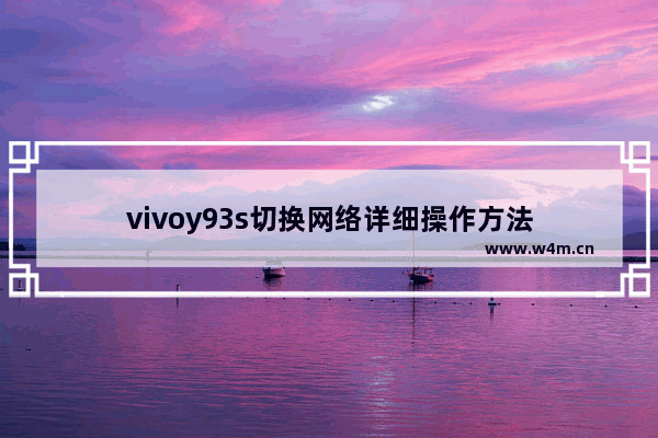 vivoy93s切换网络详细操作方法