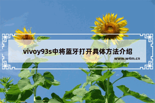 vivoy93s中将蓝牙打开具体方法介绍