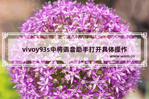 vivoy93s中将语音助手打开具体操作流程