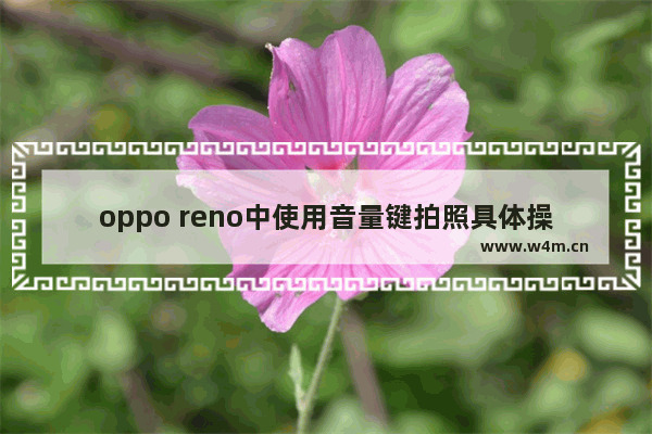 oppo reno中使用音量键拍照具体操作方法