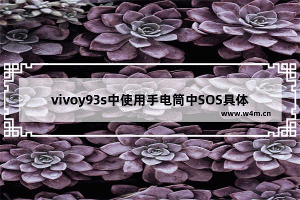 vivoy93s中使用手电筒中SOS具体操作方法