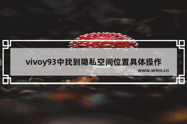 vivoy93中找到隐私空间位置具体操作方法