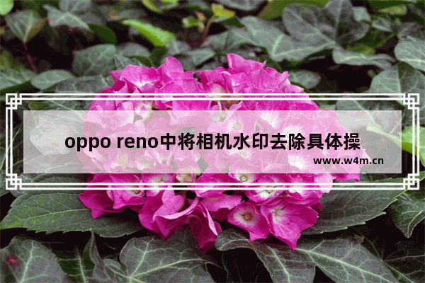 oppo reno中将相机水印去除具体操作方法