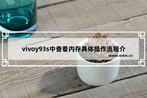 vivoy93s中查看内存具体操作流程介绍