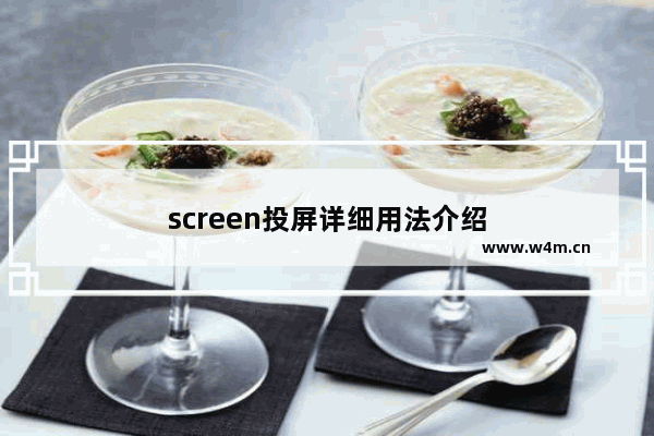 screen投屏详细用法介绍