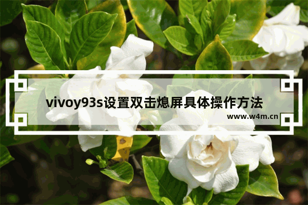 vivoy93s设置双击熄屏具体操作方法