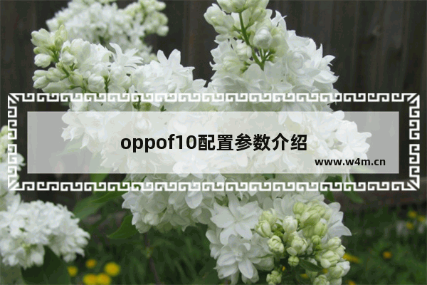 oppof10配置参数介绍