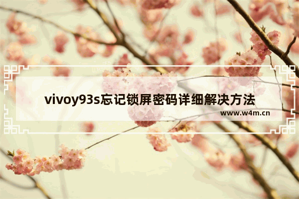 vivoy93s忘记锁屏密码详细解决方法