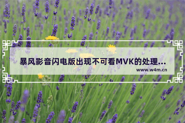 暴风影音闪电版出现不可看MVK的处理方法