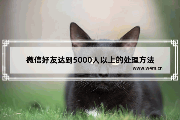 微信好友达到5000人以上的处理方法