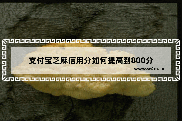 支付宝芝麻信用分如何提高到800分