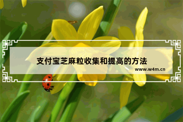 支付宝芝麻粒收集和提高的方法