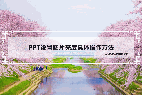 PPT设置图片亮度具体操作方法