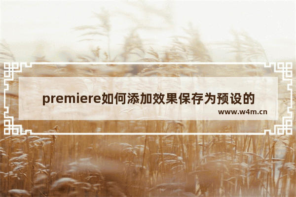 premiere如何添加效果保存为预设的具体操作方法