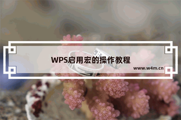 WPS启用宏的操作教程