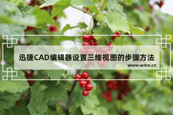 迅捷CAD编辑器设置三维视图的步骤方法