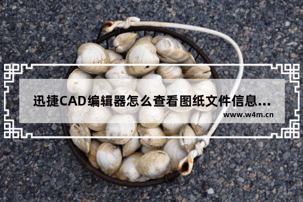 迅捷CAD编辑器怎么查看图纸文件信息版本的操作方法