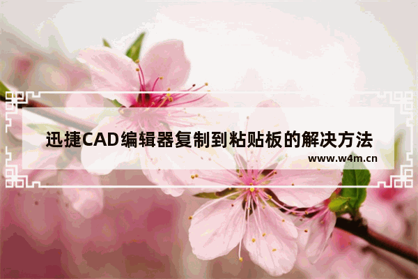 迅捷CAD编辑器复制到粘贴板的解决方法