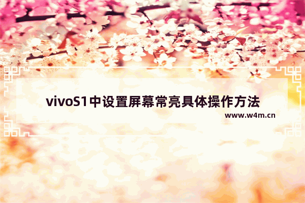 vivoS1中设置屏幕常亮具体操作方法