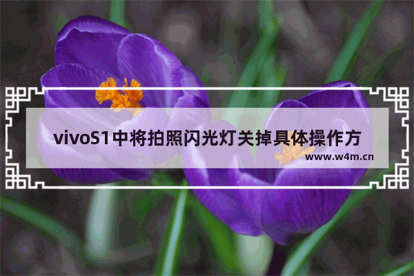 vivoS1中将拍照闪光灯关掉具体操作方法