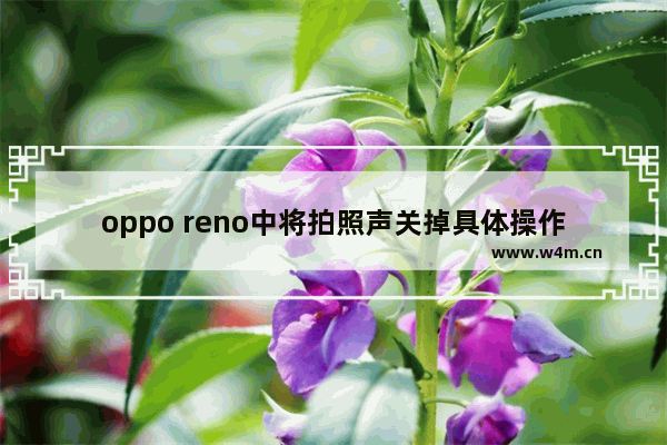 oppo reno中将拍照声关掉具体操作方法