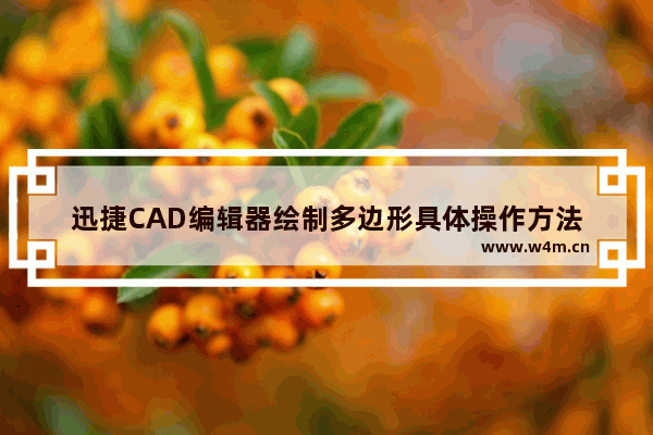 迅捷CAD编辑器绘制多边形具体操作方法