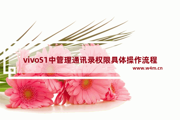 vivoS1中管理通讯录权限具体操作流程