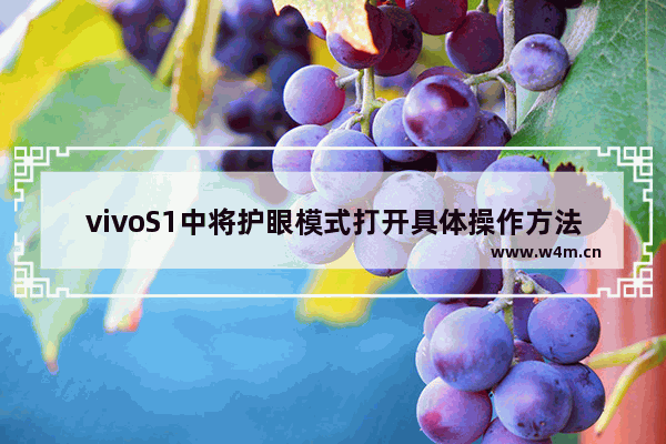 vivoS1中将护眼模式打开具体操作方法