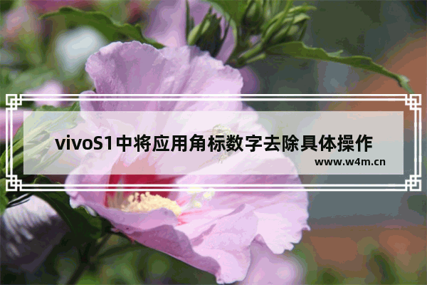 vivoS1中将应用角标数字去除具体操作方法