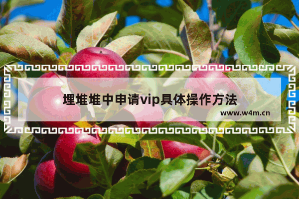 埋堆堆中申请vip具体操作方法