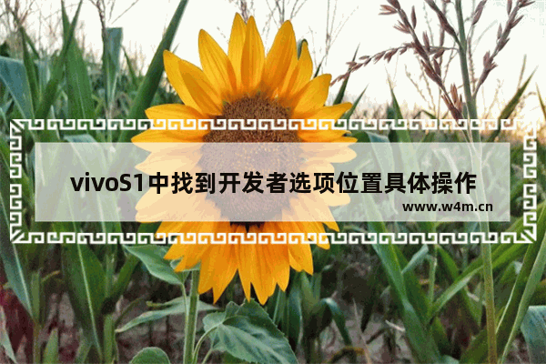 vivoS1中找到开发者选项位置具体操作方法