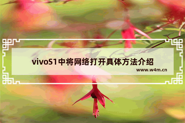 vivoS1中将网络打开具体方法介绍