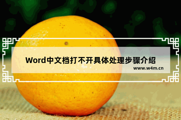 Word中文档打不开具体处理步骤介绍