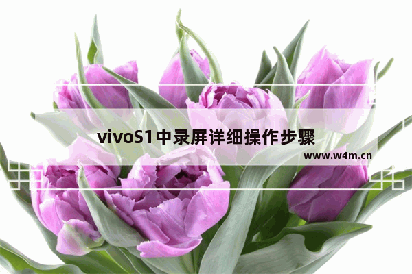 vivoS1中录屏详细操作步骤