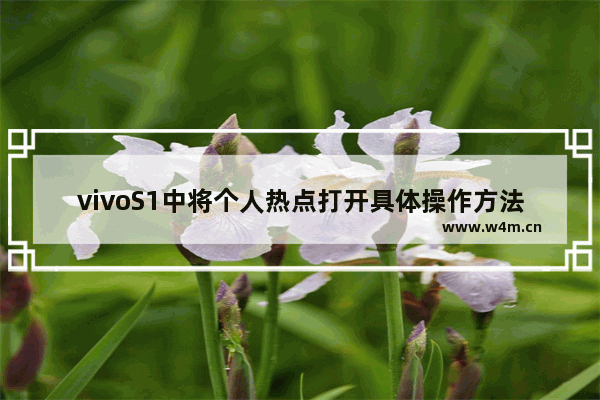 vivoS1中将个人热点打开具体操作方法