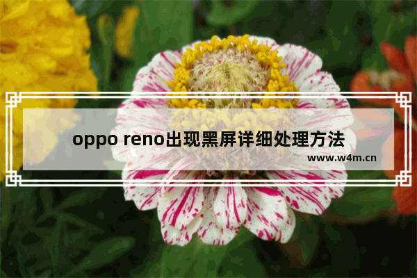 oppo reno出现黑屏详细处理方法