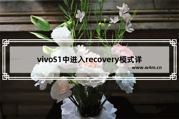 vivoS1中进入recovery模式详细操作步骤