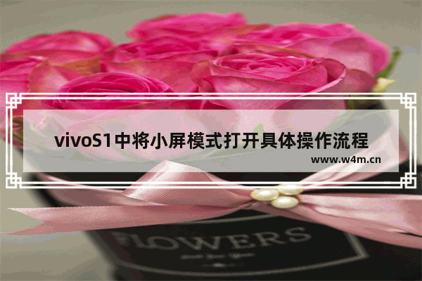 vivoS1中将小屏模式打开具体操作流程