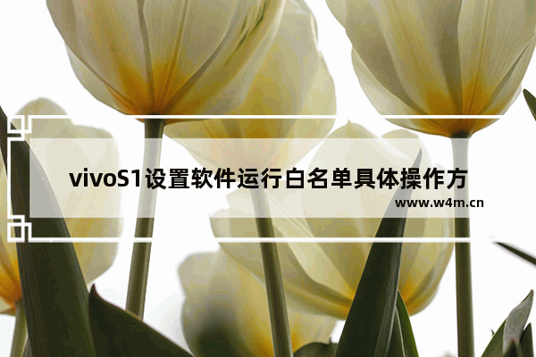 vivoS1设置软件运行白名单具体操作方法