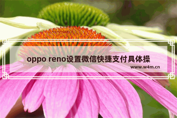 oppo reno设置微信快捷支付具体操作方法