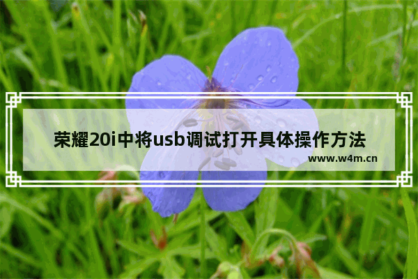 荣耀20i中将usb调试打开具体操作方法