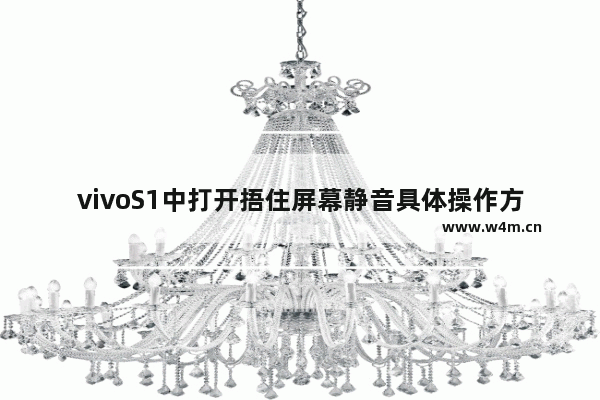 vivoS1中打开捂住屏幕静音具体操作方法